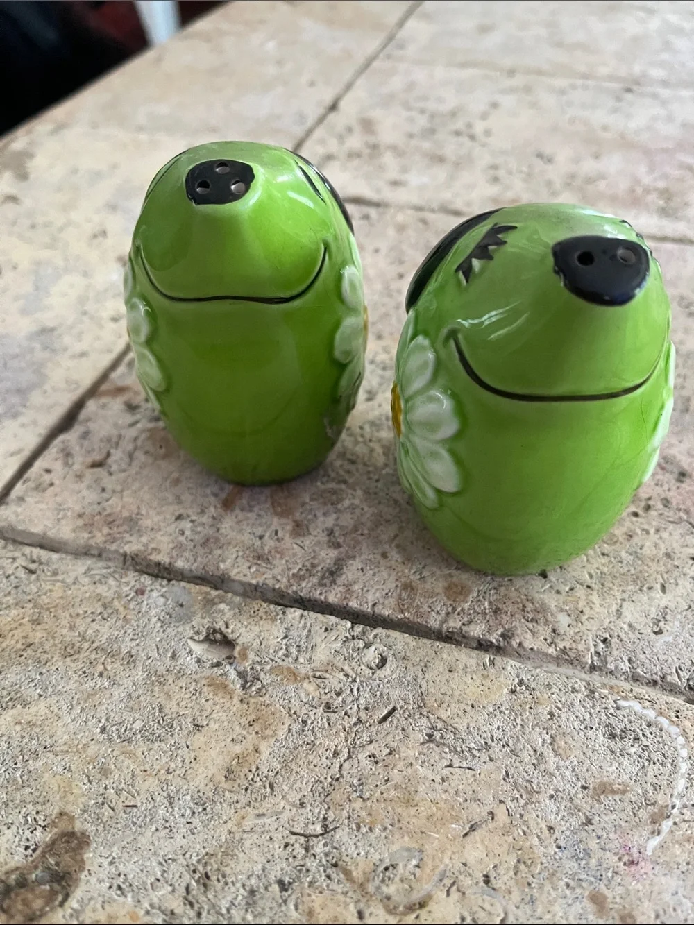 Green Daisy Ceramic Salt and Pepper Shaker Set